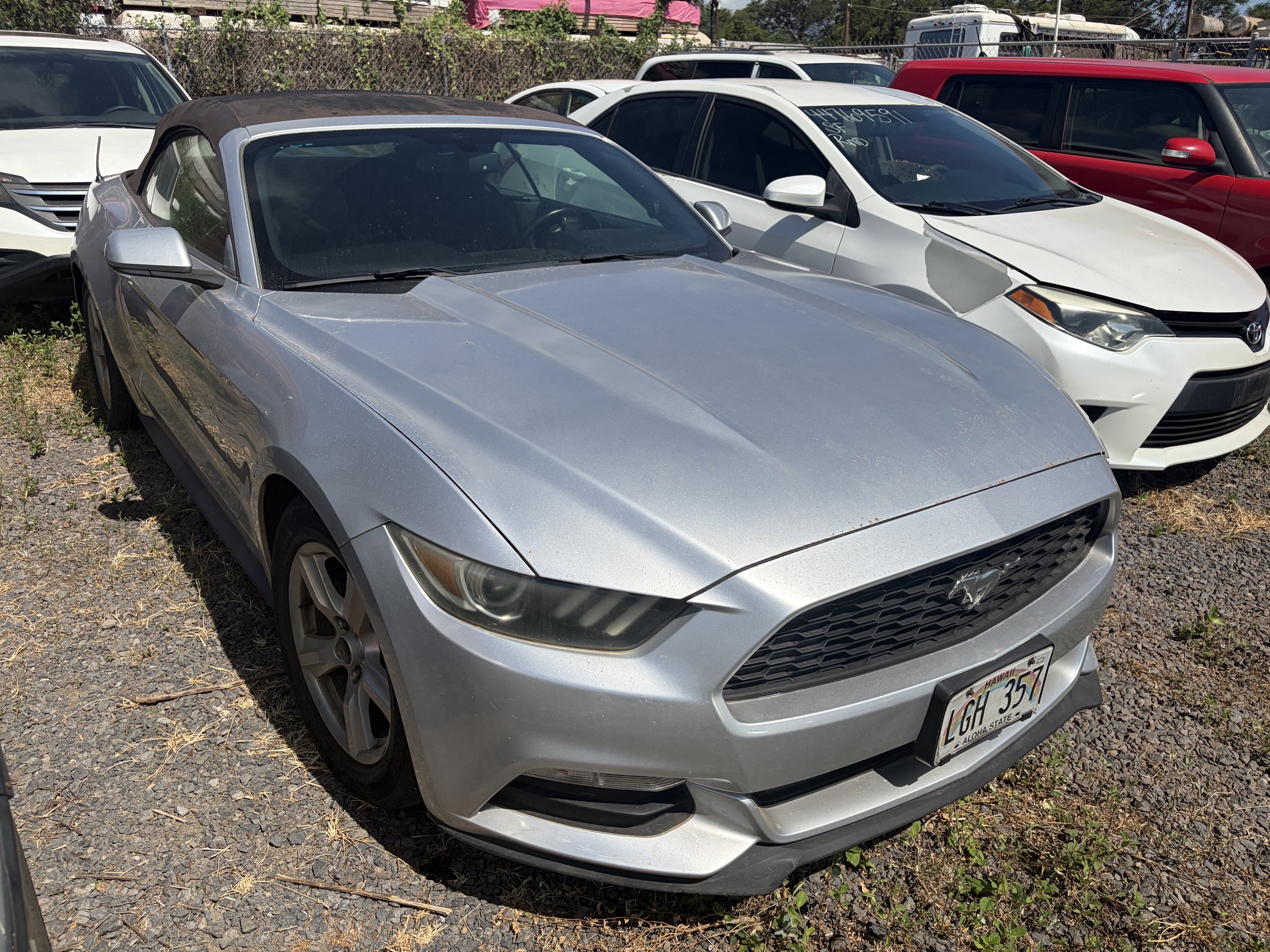 2016-2019 Ford Mustang Convertible (Discounted Cruiser Models)